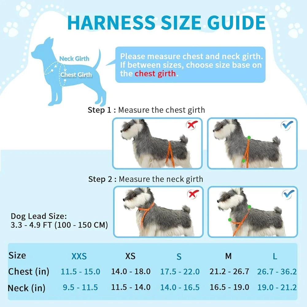Soft Padded Dog Harness & Leash Set