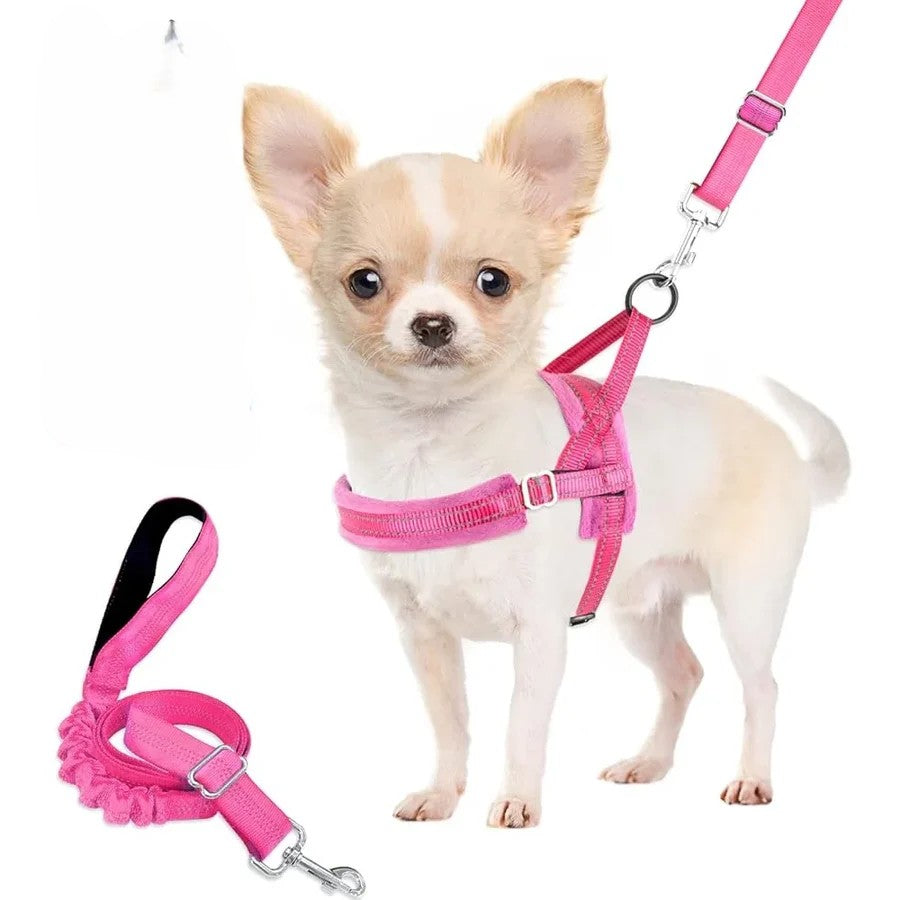 Soft Padded Dog Harness & Leash Set