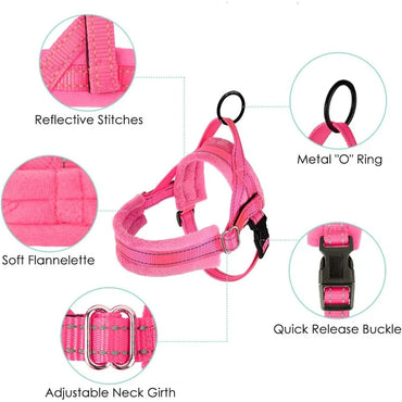 Soft Padded Dog Harness & Leash Set