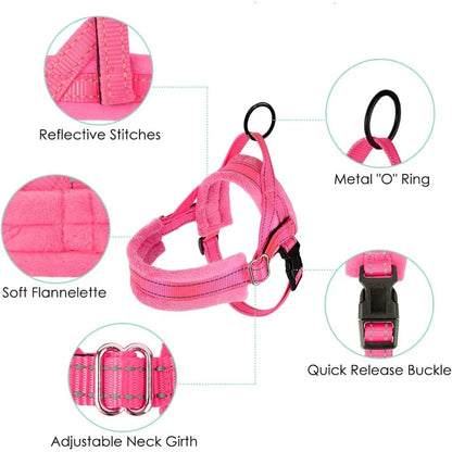 Soft Padded Dog Harness & Leash Set