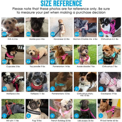 Soft Padded Dog Harness & Leash Set