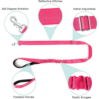 Soft Padded Dog Harness & Leash Set