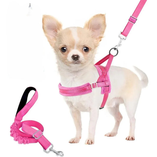 Soft Padded Dog Harness & Leash Set